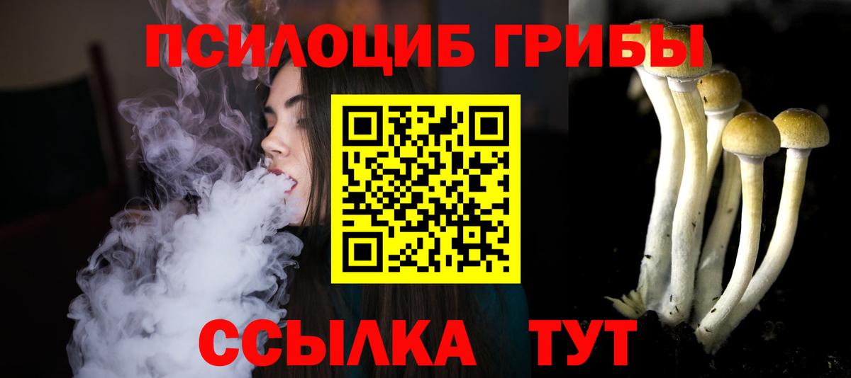 Псилоцибиновые грибы Cubensis Ахтубинск